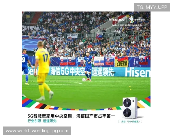 欧洲杯精彩回顾与历史瞬间全解析揭秘赛场背后故事